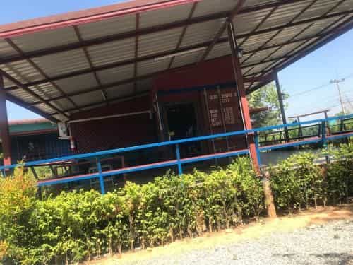 รีสอร์ท บ้านตาลเดี่ยว รีสอร์ท บ้านตาลเดี่ยว