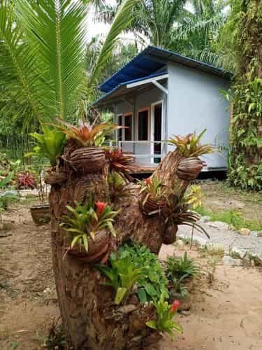 chumphon fishingresort chumphon fishingresort