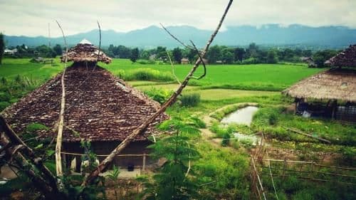 Thai-Zen Farmstay Thai-Zen Farmstay
