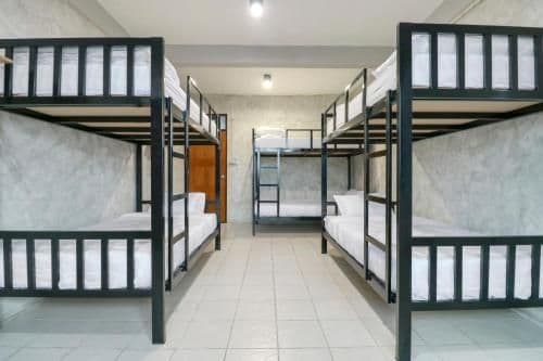 Bed in 6-Bed Mixed Dormitory Room