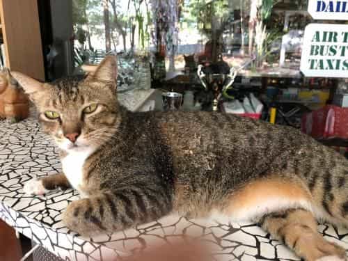 Laem Sai Bungalow Laem Sai Bungalow