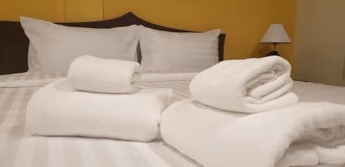 Deluxe Double or Twin Room with Balcony