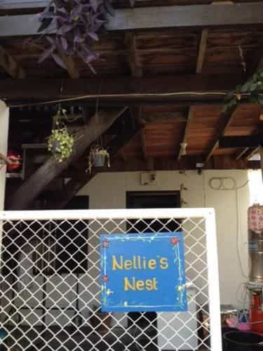 Nellie's Nest - FEMALE ONLY Nellie's Nest - FEMALE ONLY