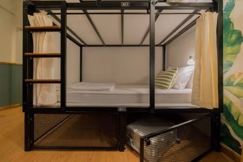 Bunk Bed in Mixed Dormitory Room