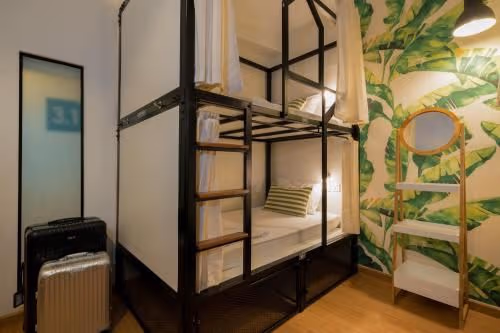 Bunk Bed in Mixed Dormitory Room