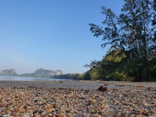 Bungalow - Beach Front
