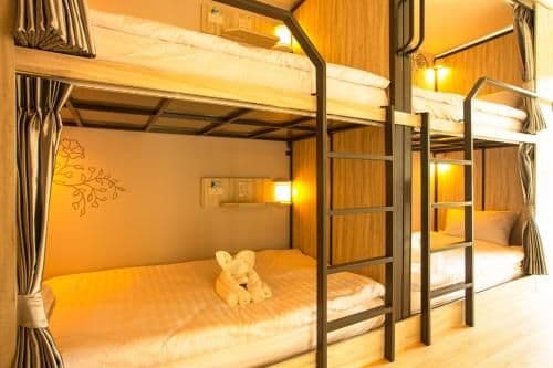 6-Bed Mixed Dormitory Room