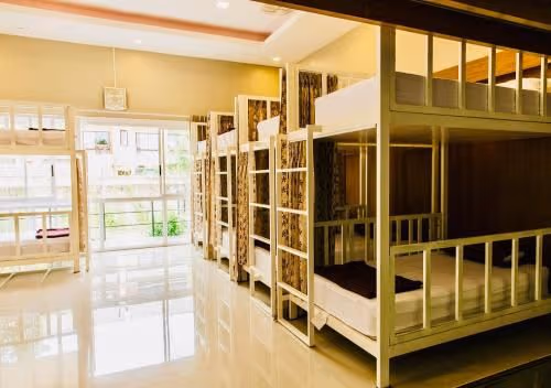 Bunk Bed in Mixed Dormitory Room