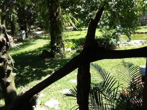 Villa with Garden View