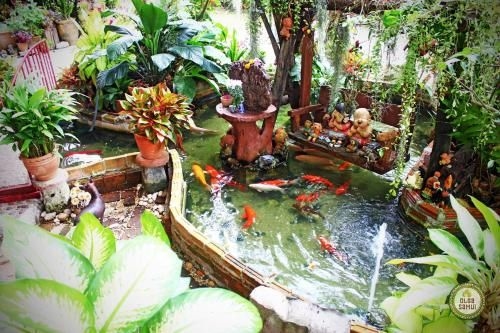 Lamai Papaya House 21