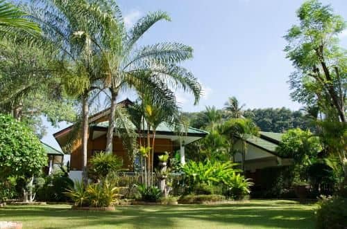 Jungle Village Jungle Village
