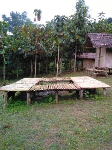 Watchara Organic Farm Watchara Organic Farm