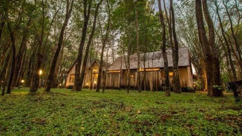Teakwood villa Teakwood villa