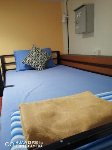 Bed in 6-Bed Mixed Dormitory Room