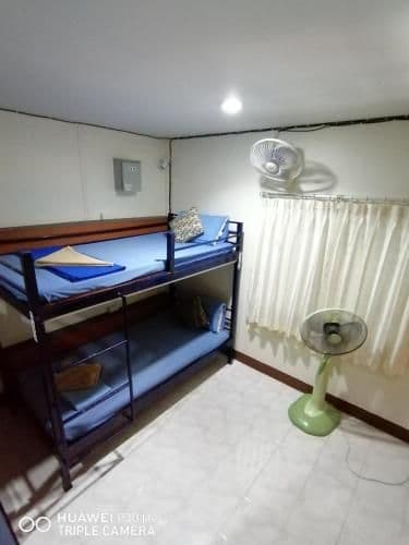 Bed in 6-Bed Mixed Dormitory Room