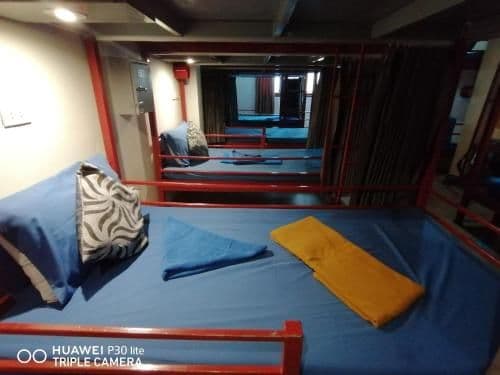Bunk Bed in Mixed Dormitory Room