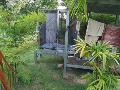 Khao Tao Vegan Camp Khao Tao Vegan Camp