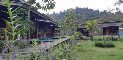 Double Room with Garden View