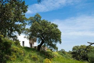 Rincon de las Tobas2