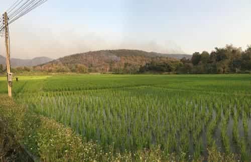 AMAYEN Sanctuary AMAYEN Sanctuary