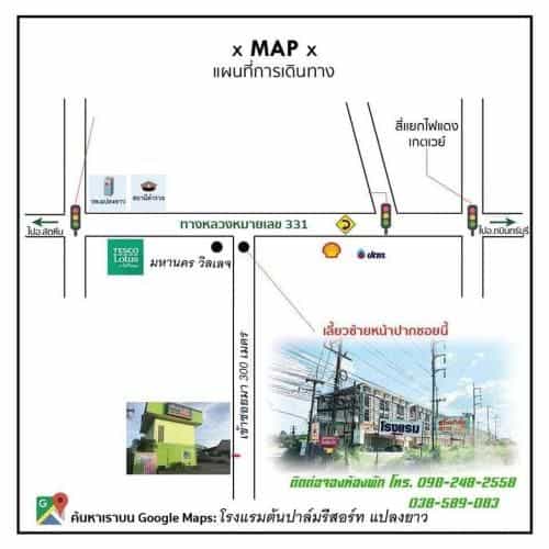 ต้นปาล์มรีสอร์ท ต้นปาล์มรีสอร์ท