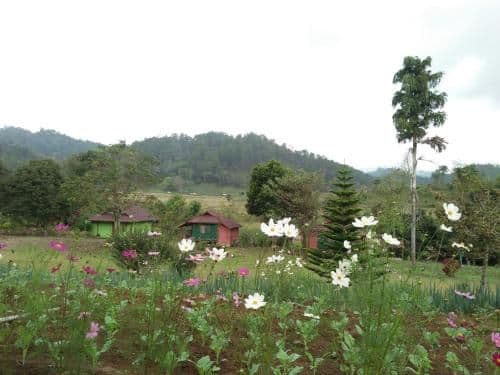 Bungalow with River View