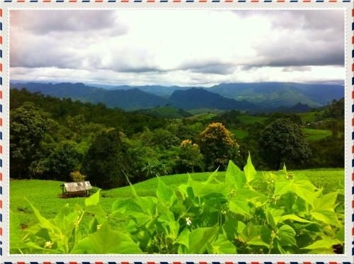 Pencave Homestay1