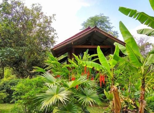Pencave Homestay0