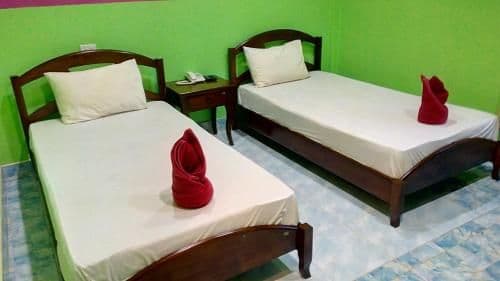 Twin Room with View