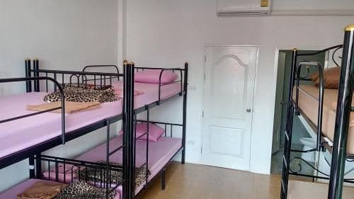 Bunk Bed in Mixed Dormitory Room