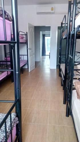 Bunk Bed in Mixed Dormitory Room