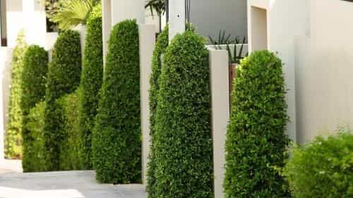 Villa Badas by Tropiclook Villa Badas by Tropiclook