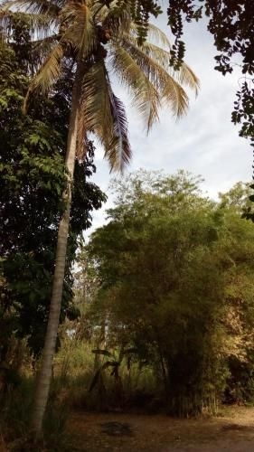 Suratthani Airport Campsite1