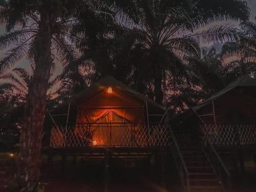 Superior Double or Twin Room with Garden View