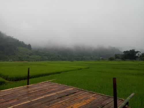 Samoeng fishing park home stay Samoeng fishing park home stay