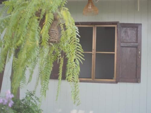 Double Room with Private External Bathroom