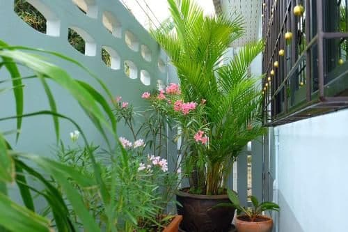 Double Room with Patio