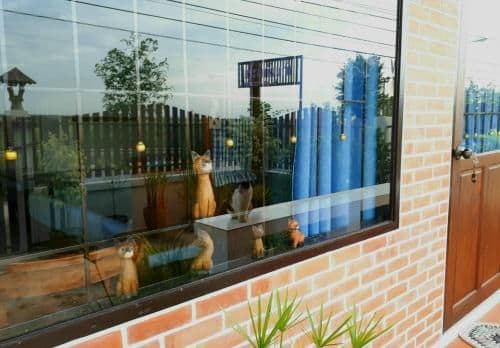 Double Room with Patio