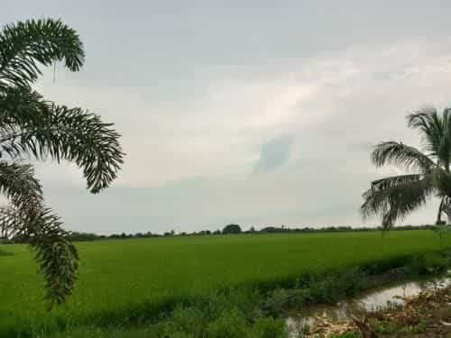 NT นิวสไตล์ รีสอร์ท NT นิวสไตล์ รีสอร์ท