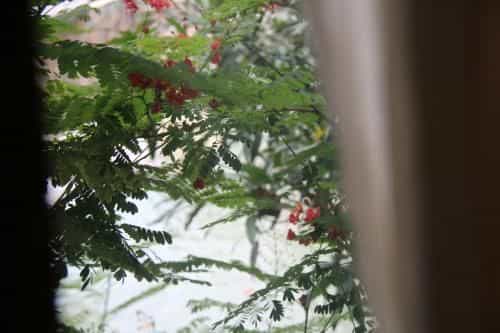 Jiang Lha Lanna Homestay Jiang Lha Lanna Homestay