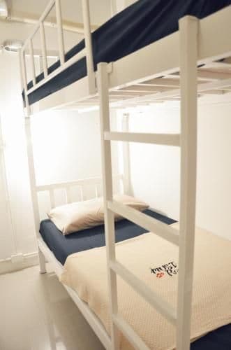 Bunk Bed in Mixed Dormitory Room