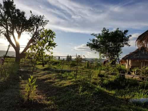 Chicken Star Homestay Chicken Star Homestay