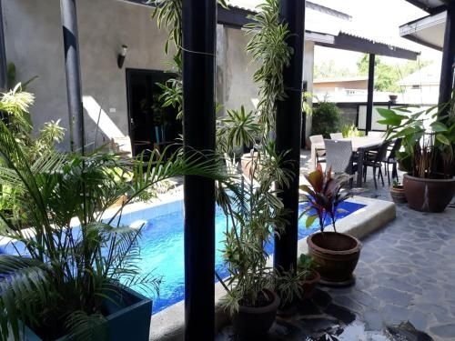 The Beach House Pranburi0