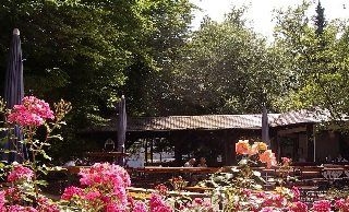 Eifelstern Hotel4