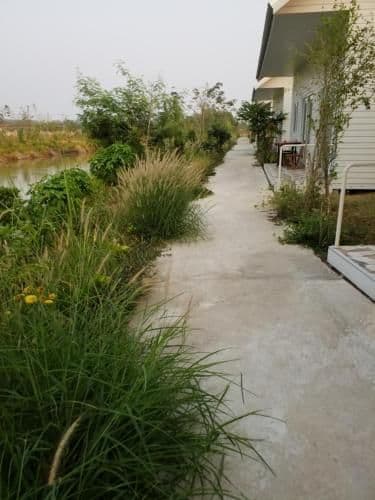 Deluxe Bungalow with Garden View