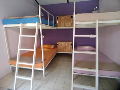 Bed in 4-Bed Mixed Dormitory Room