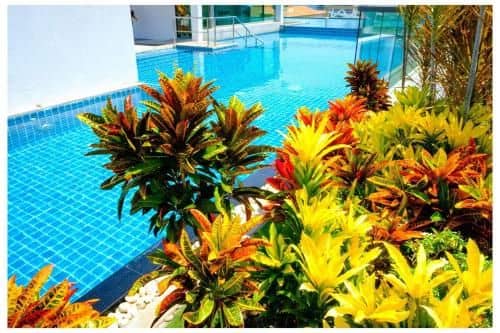Water Park Condominium 1Bed Water Park Condominium 1Bed