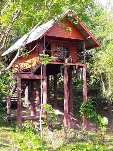 Treehouse-Holidays