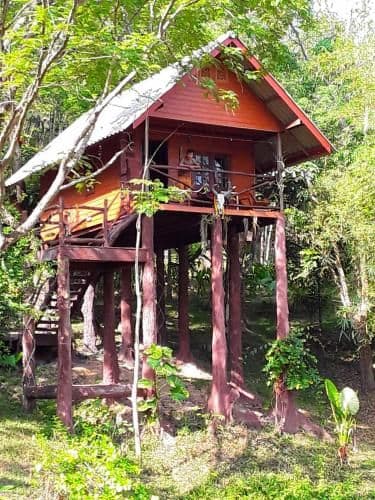 Treehouse-Holidays Treehouse-Holidays