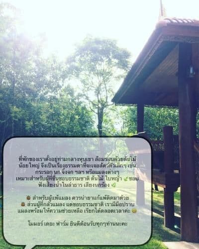 โมมอร์ เดอะ ฟาร์ม โมมอร์ เดอะ ฟาร์ม